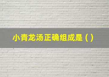 小青龙汤正确组成是 ( )